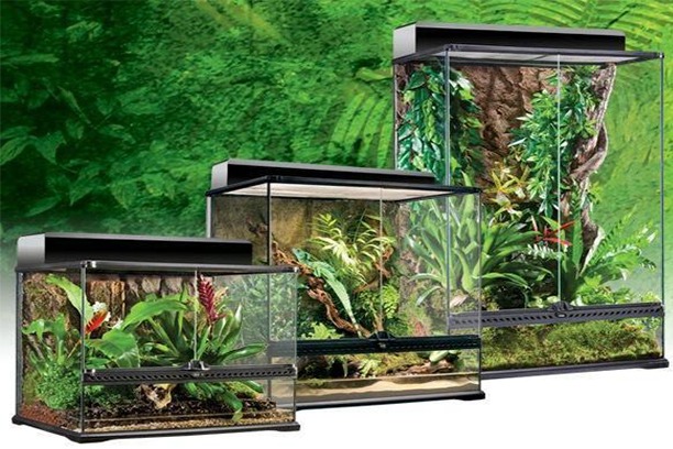 Vivariums