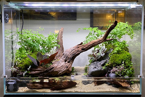 Vivariums